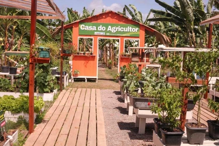Cultivo de hortaliças em pequenos espaços é destaque na Expofeira 2026