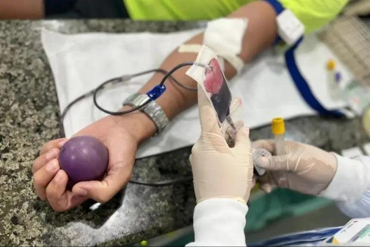 Hemoap prepara adequação às novas regras para doação de sangue no Amapá