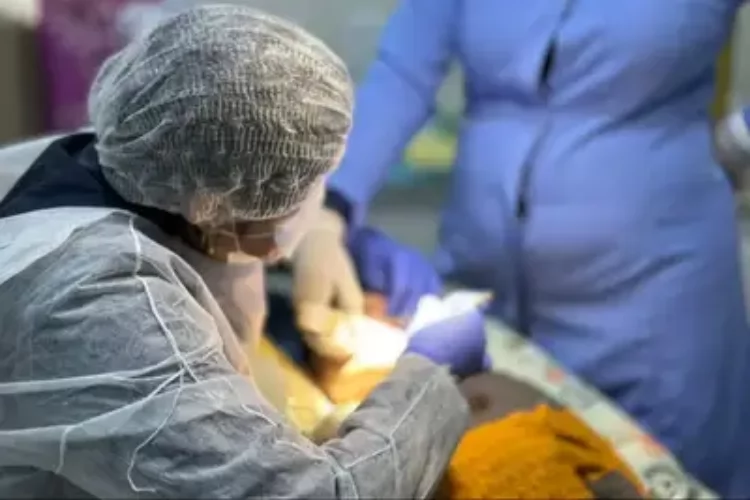 Novo CEO: mais de 1,6 mil atendimentos devolvem dignidade no acesso à saúde bucal da população do Amapá