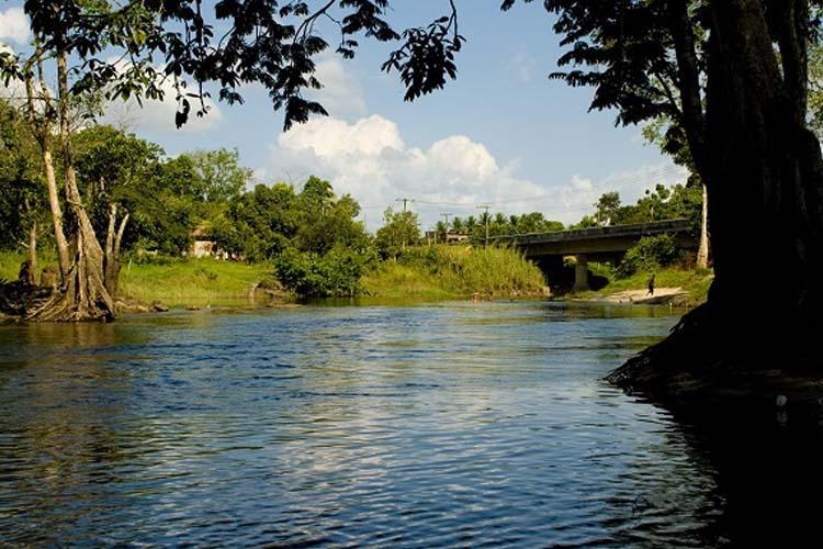Município de Tartarugalzinho(AP): Dados gerais