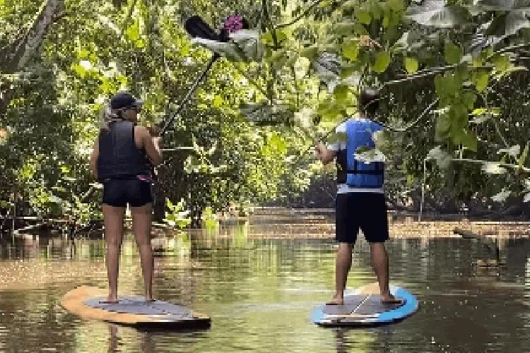 Stand up paddle na floresta