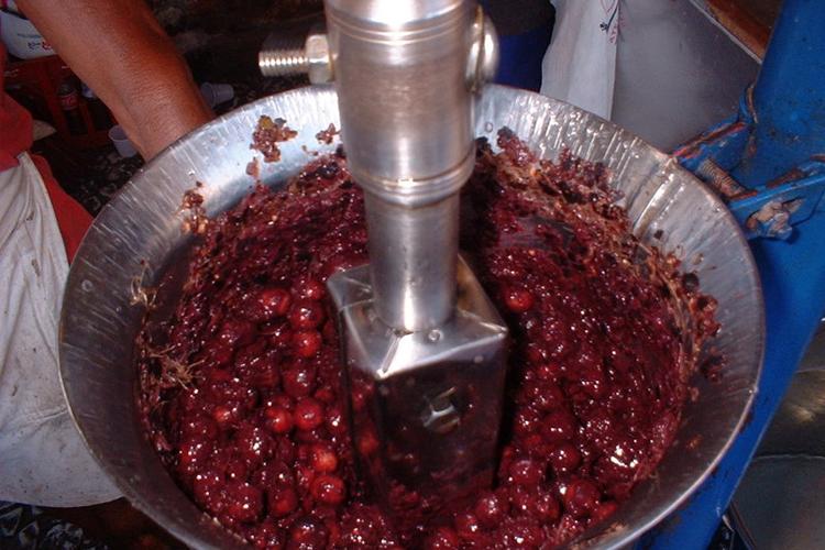 SESI Saúde: workshop para empresas batedoras de açaí 