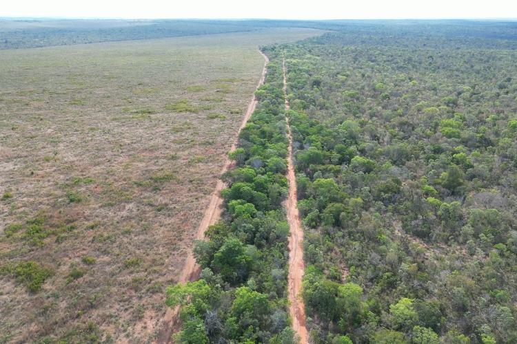 Lideranças Indígenas Apinajés exigem que o Banco Mundial interrompa empréstimo a agronegócio com acusações de desmatamento na Amazônia e no Cerrado