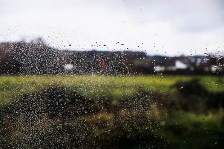 Produtores do Norte e Nordeste do país devem se preparar para maior volume de chuvas durante a La Niña