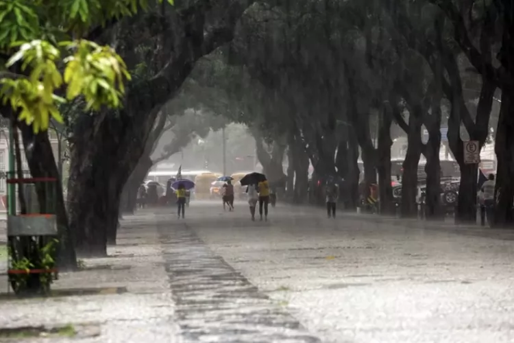 Chuvas intensas do inverno amazônico elevam riscos e destacam papel do seguro na proteção do patrimônio