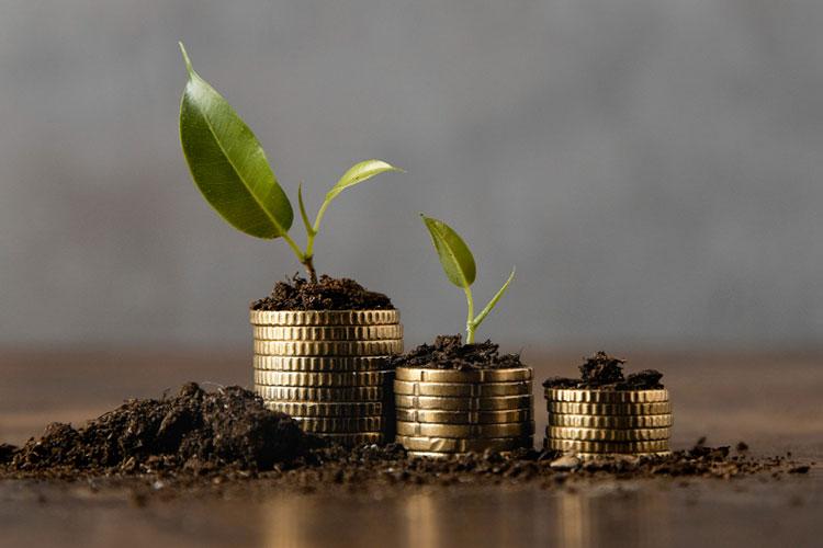 Como desmascarar empresas que fingem ser sustentáveis