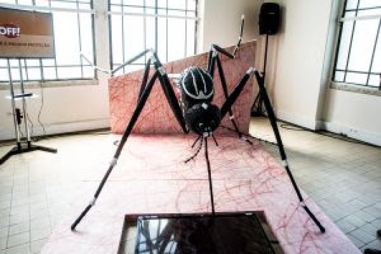 Dengue: como ajudar a prevenir a propagação?