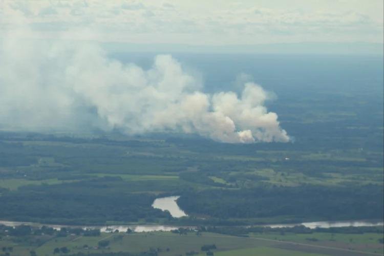 O que a Amazônia espera com a chegada do El Niño