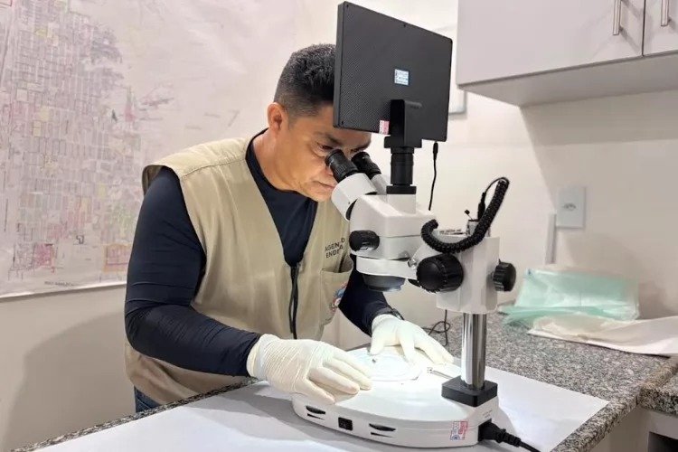 Laboratório de Entomologia de Santana reforça ações de vigilância e orienta população sobre coleta do barbeiro