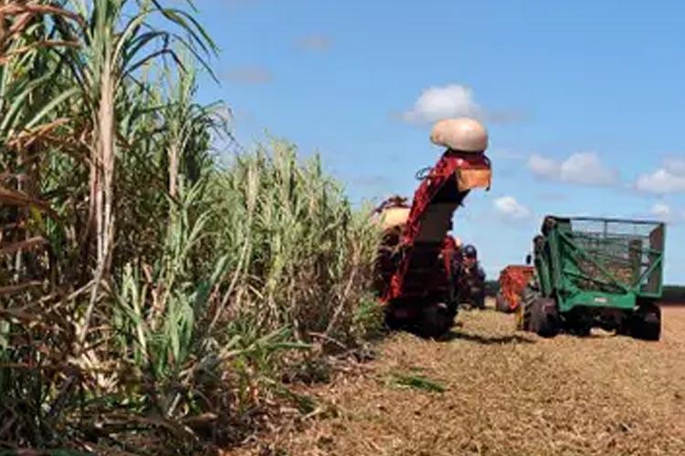 Seguro Rural: Benefício pode ganhar reforço de saldos remanescentes do PIS/Pasep