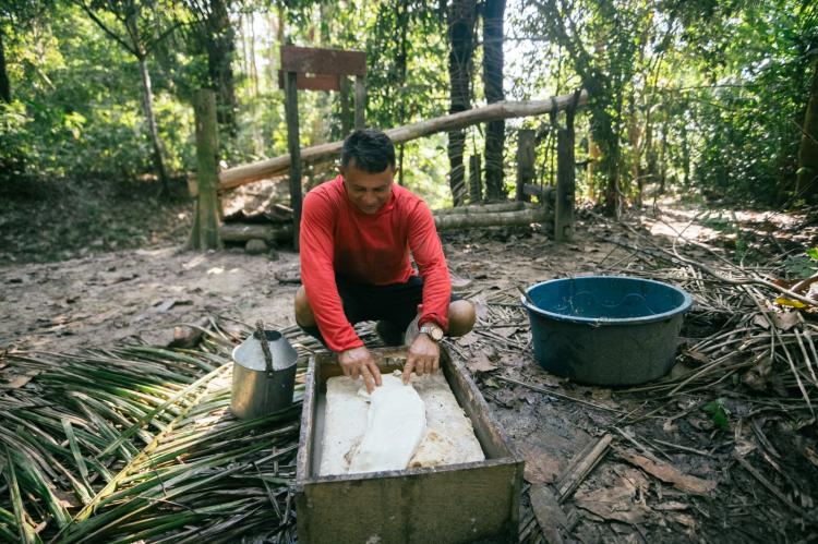 Cadeia da borracha impulsiona geração de renda na área de influência da BR-319
