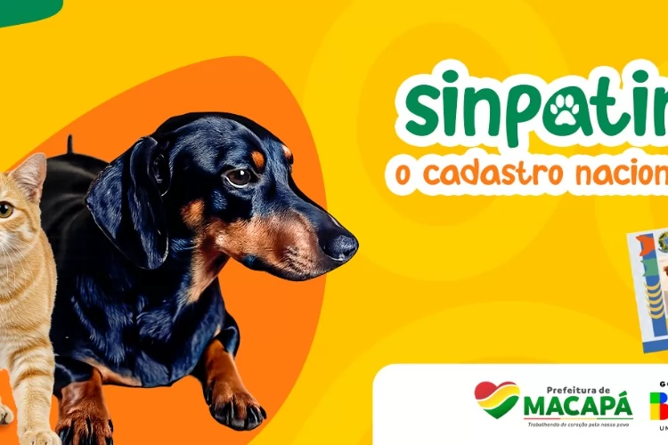 Saiba como cadastrar seu pet no SinPatinhas e garantir acesso a serviços veterinários em Macapá